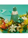 Profumo Cacharel Eden 50ml donna