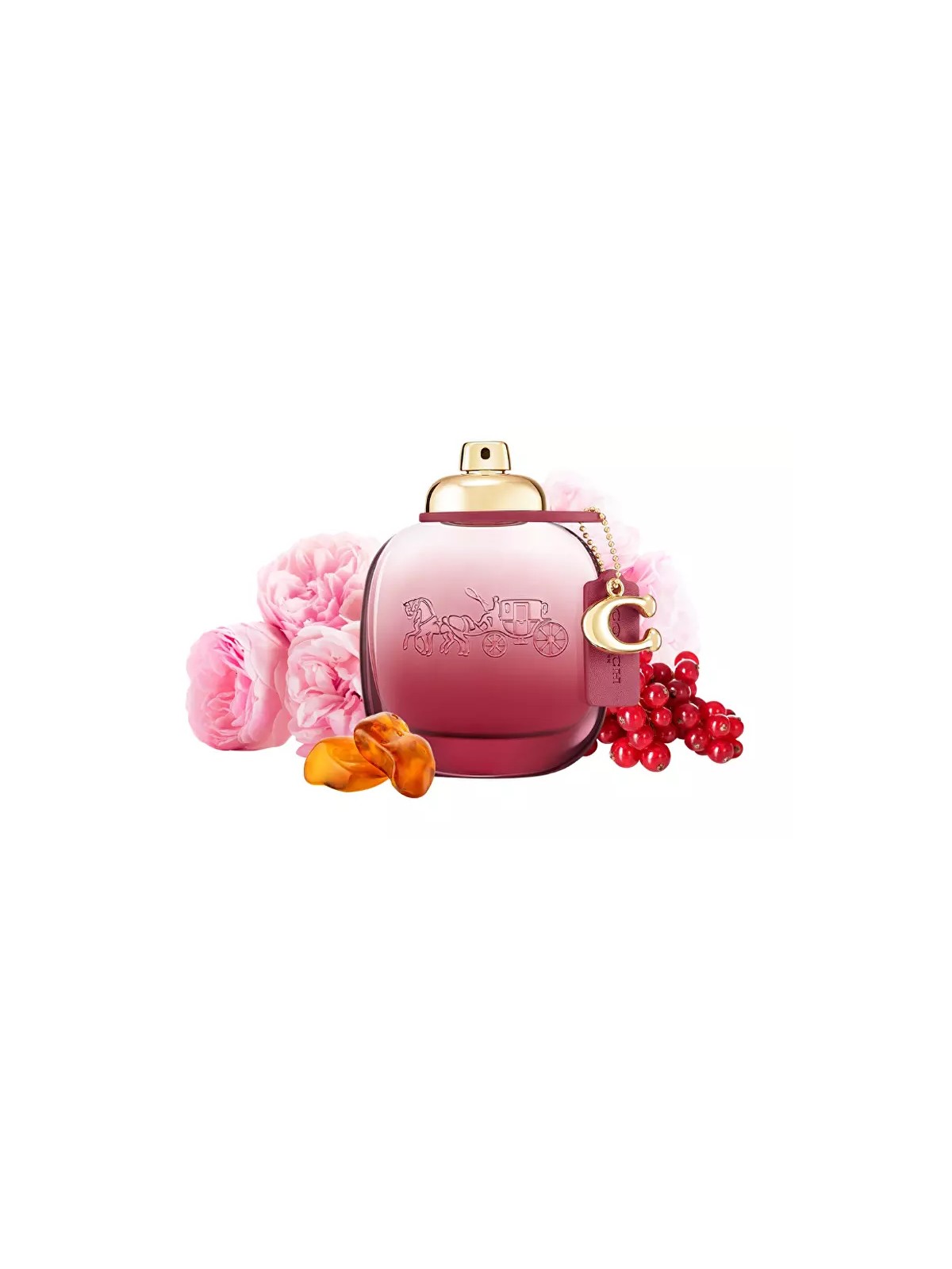 Coach Wild Rose eau de parfum Spray 50ml