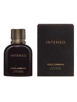 Dolce Gabbana Pour Homme Intenso Eau De Parfum 40ml uomo