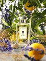 Jo Malone 154 Eau de Cologne Unisex 100ml