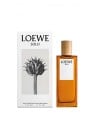 Loewe Solo Pour Homme Eau de Toilette 100ml uomo