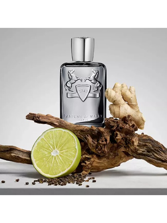 Parfums De Marly Castley eau de parfum 125ml uomo