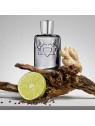 Parfums De Marly Castley eau de parfum 125ml uomo