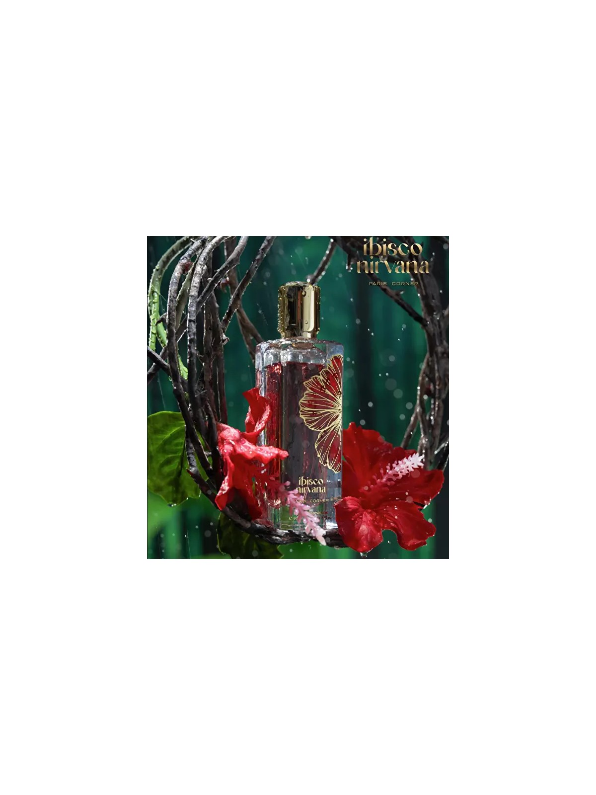 Paris Corner Ibisco Nirvana 65ml - Profumo Unico