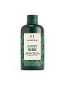 The Body Shop Gel Shampoo 250ml Tea Tree acquista 