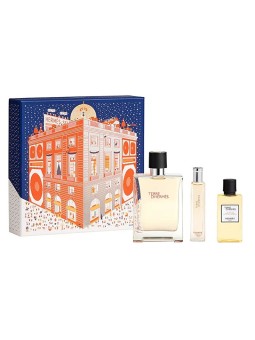 Hermès Set da 3 pezzi TERRE D'HERMÈS Eau de Toilette spray 100 ml + Shower Gel 40 ml + Eau de Toilette spray 15 ml uomo