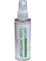 Clinical Acceleratore di crescita dei capelli 100 ml unisex