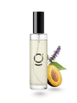 goda Deodorante per ambienti Grud Prugna e Patchouli 100 ml unisex