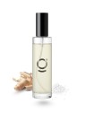 goda Deodorante per ambienti Ombi sale marino e legno 100 ml unisex
