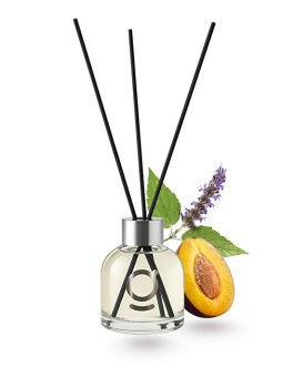 goda Diffusore di fragranze Grud Prugna e Patchouli 100 ml unisex