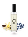 goda Deodorante per ambienti Gubi al mirtillo e vaniglia, 100 ml unisex