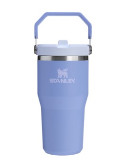 Stanley 1913 Bottiglia termica con cannuccia integrata The IceFlow™ Tumbler 600ml Ortensia unisex