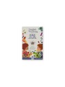 English Tea Shop Avventura di tè biologico per bambini - 20 bustine bambino