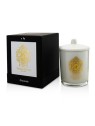 Tiziana terenzi Candela profumata "Spicy Snow" 170g