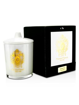 Tiziana terenzi Candela White Fire 170g