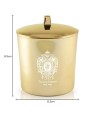 Tiziana terenzi Candela Andromeda 170 g