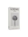 Loewe Solo Vulcan EDP M 100 ml
