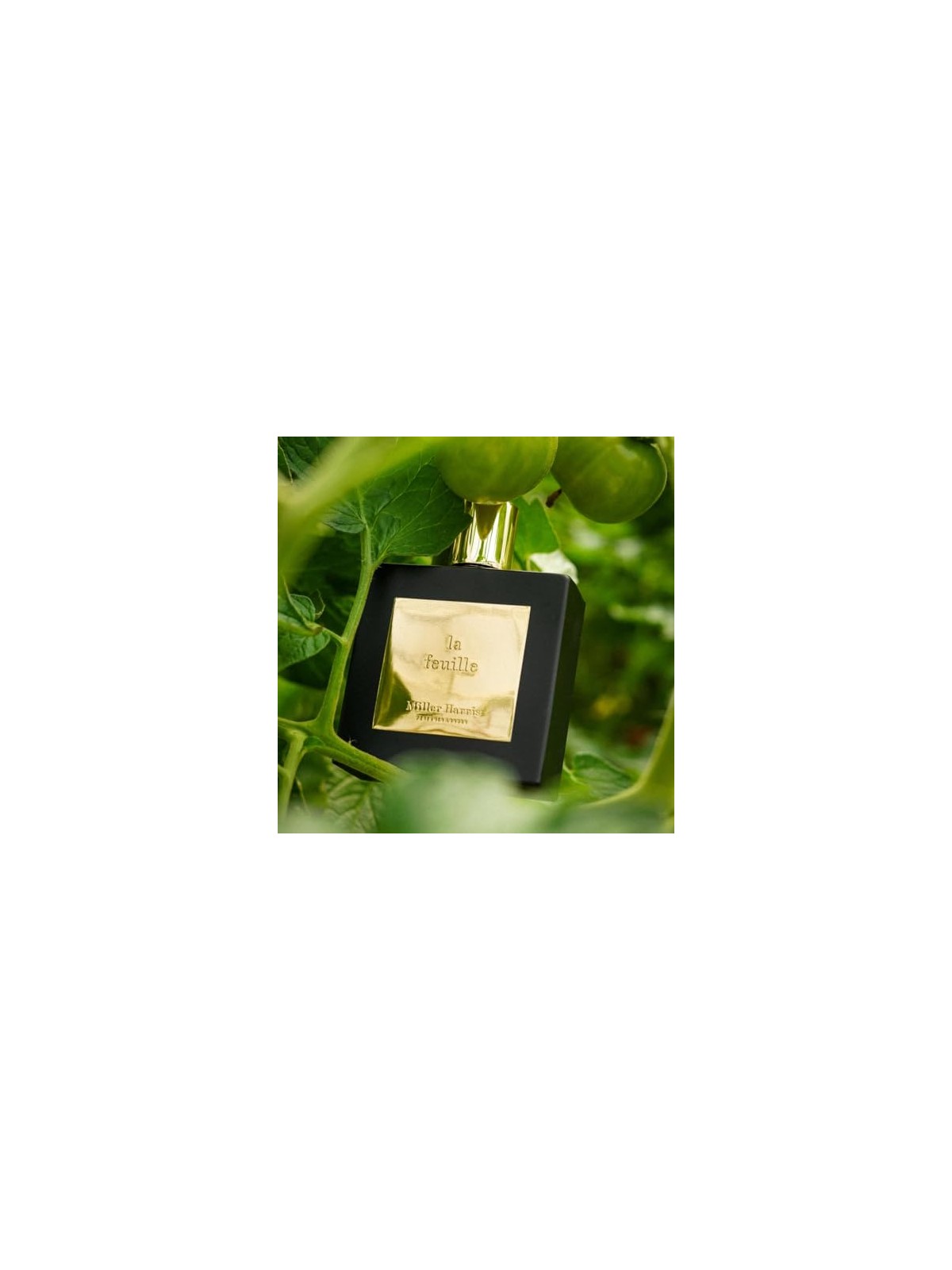 Miller Harris La Feuille Eau De Parfum 100ml Unisex