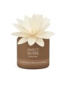 Sweet Home Collection Diffusore di aromi Cashmere e Vaniglia Bourbon 200 ml unisex