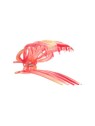 Invisibobble Fermaglio per capelli Clipstar Coral Hug L donna