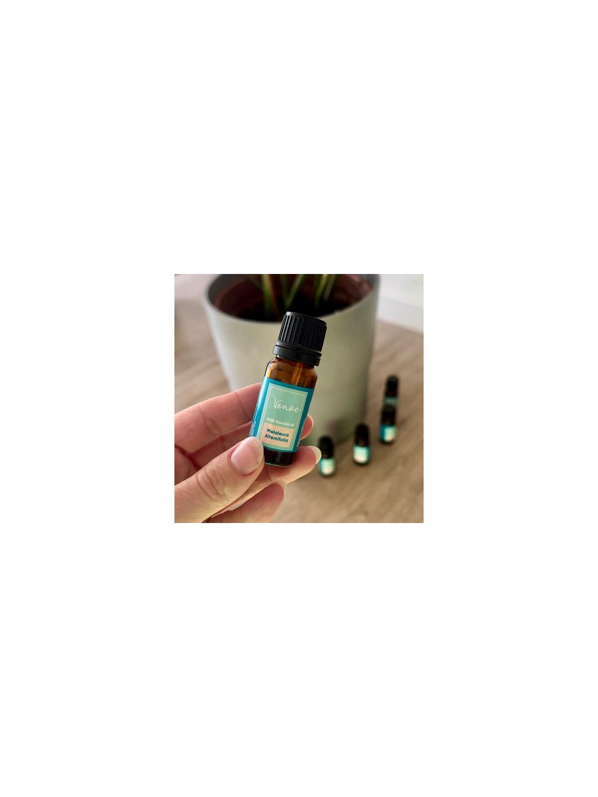 Venoc Olio essenziale di tea tree 10 ml bambino