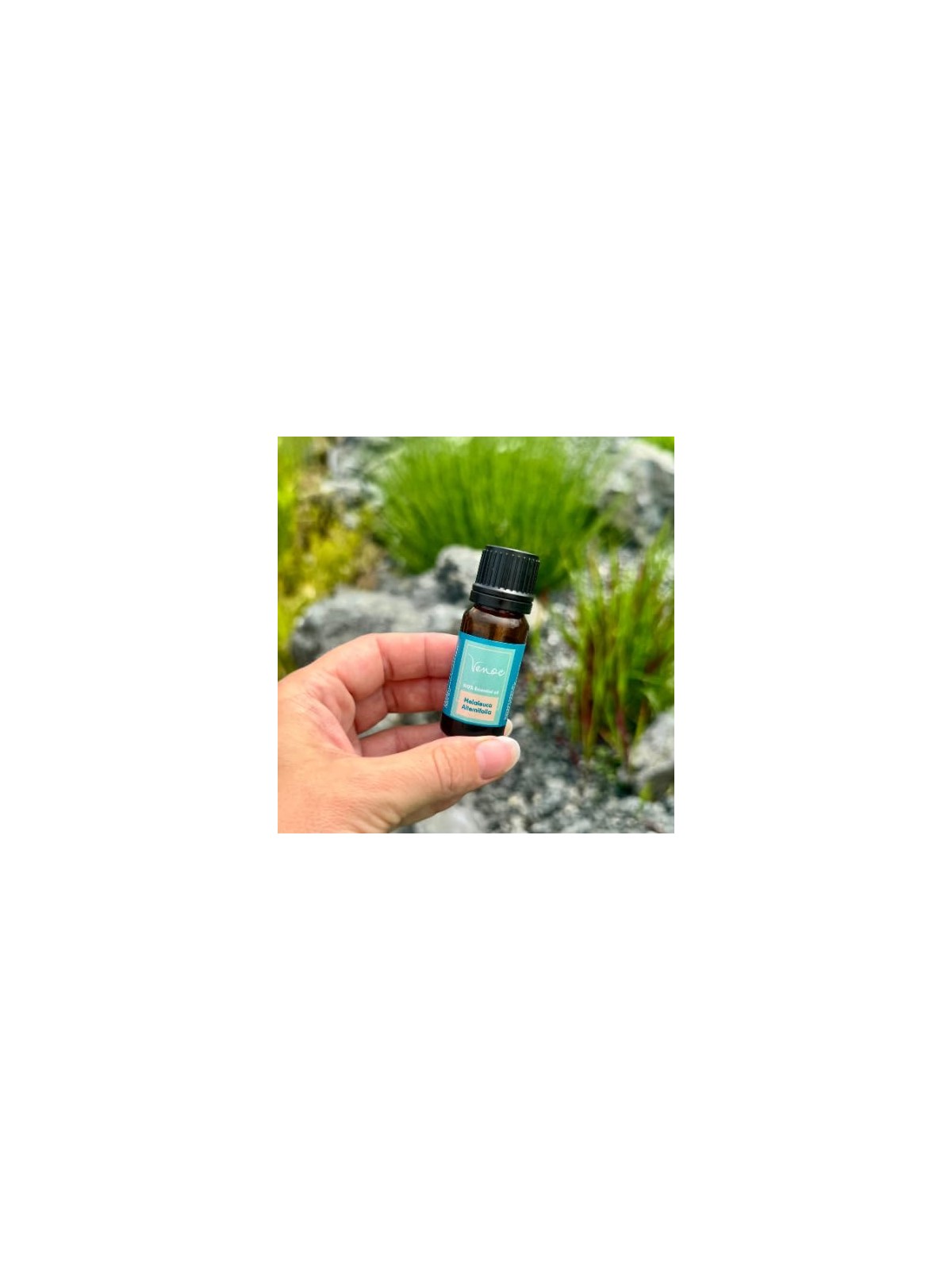 Venoc Olio essenziale di tea tree 10 ml bambino