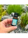 Venoc Olio essenziale di tea tree 10 ml bambino
