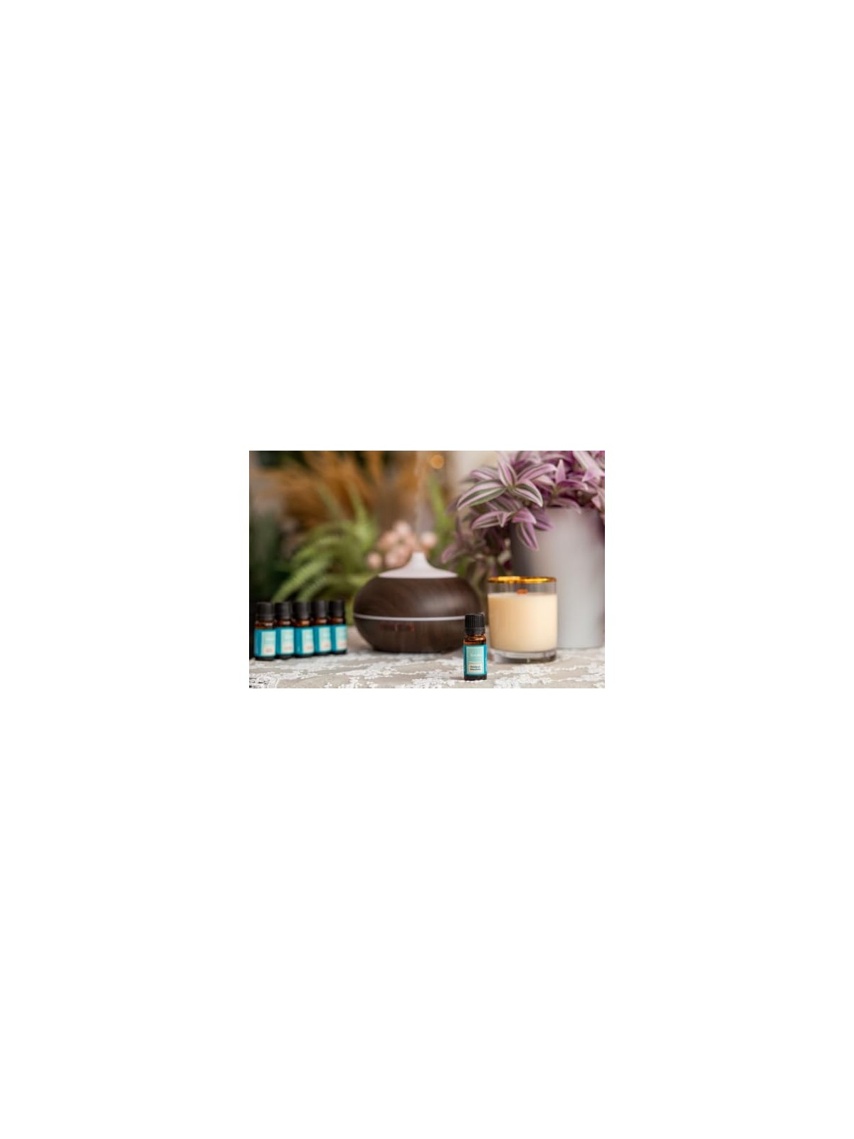 Venoc Olio essenziale di tea tree 10 ml bambino