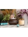Venoc Olio essenziale di tea tree 10 ml bambino