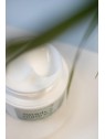 Clochee Crema viso ultra-levigante anti-età Simply Nature 50ml