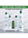 Trattamento Farouk Systems CHI Power Plus Revitalize Vitamin Hair