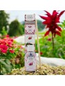 Sweet Home Collection Diffusore di aromi al fico d'India 100 ml unisex