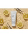 Voesh Sugar Scrub + Bubble Wash, peeling e schiuma detergente per cuoio capelluto e corpo, Lavender Land 210g