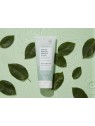 Voesh Sugar Scrub + Bubble Wash, peeling e schiuma detergente per cuoio capelluto e corpo, Rainforest Mist 210g