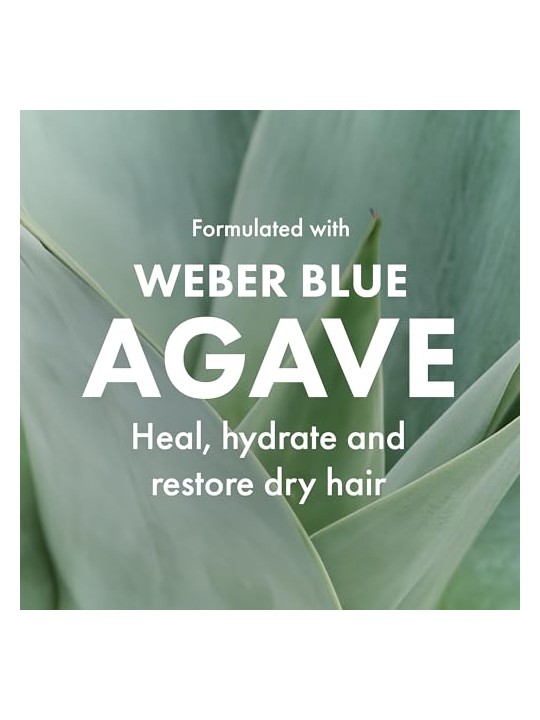 Agave OLIO CURATIVO maschera idratante riparatrice 250ml unisex