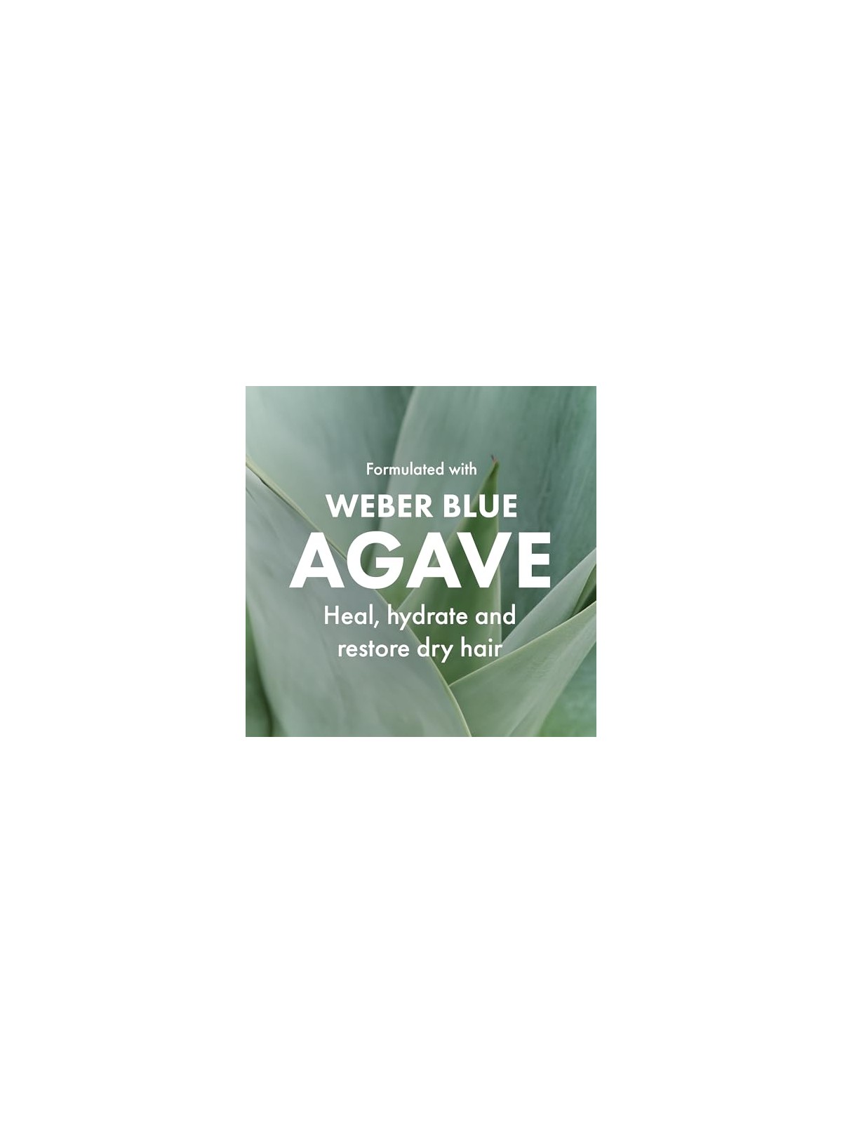 Agave OLIO CURATIVO maschera idratante riparatrice 250ml unisex