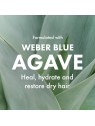 Agave OLIO CURATIVO maschera idratante riparatrice 250ml unisex