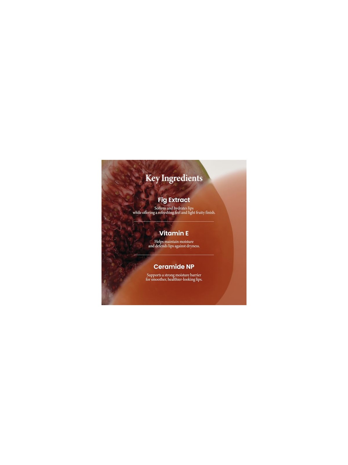 Axis-y Balsamo labbra Vita Glow Lip Oil Cosy Fig 4