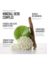 Bare Minerals SKINLONGEVITY CUSHION CLOUD detergente schiumogeno 120ml unisex