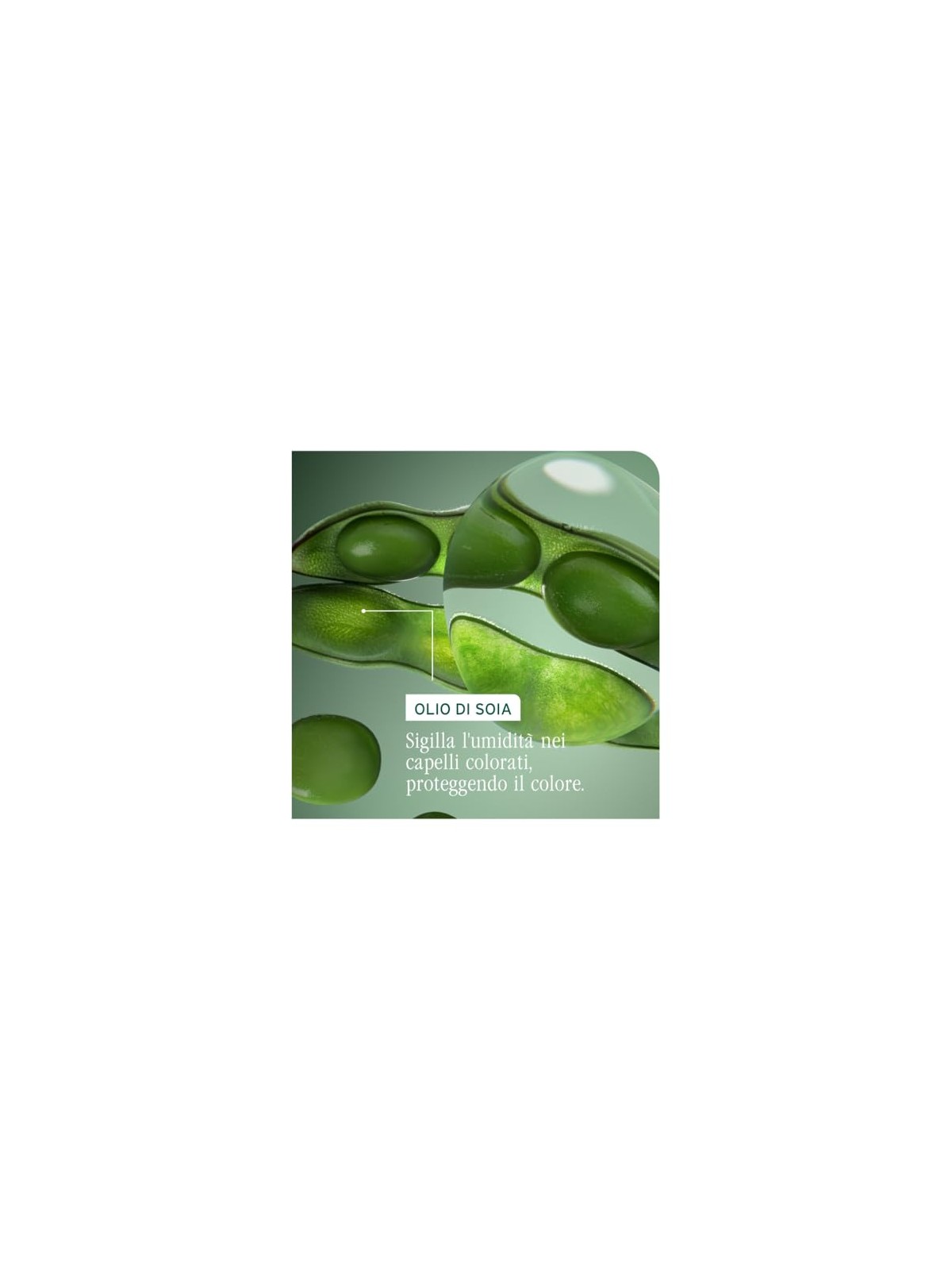 BIOLAGE Professional Color Last Shampoo 400ml