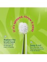 Brush baby Suggerimenti di WildOnes per spazzolino sonico 4 pz.