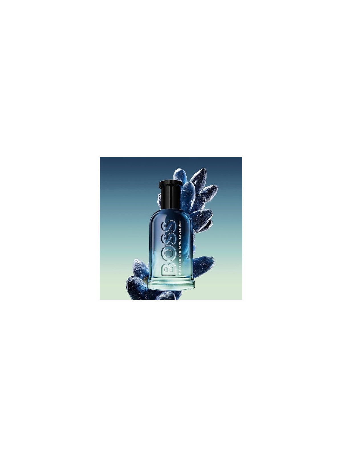 Hugo Boss Bottled Striking Lavender eau de parfum Spray 200g