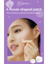 Hwarang' Bellflower Night Patch cerotti per imperfezioni di notte 45pz.