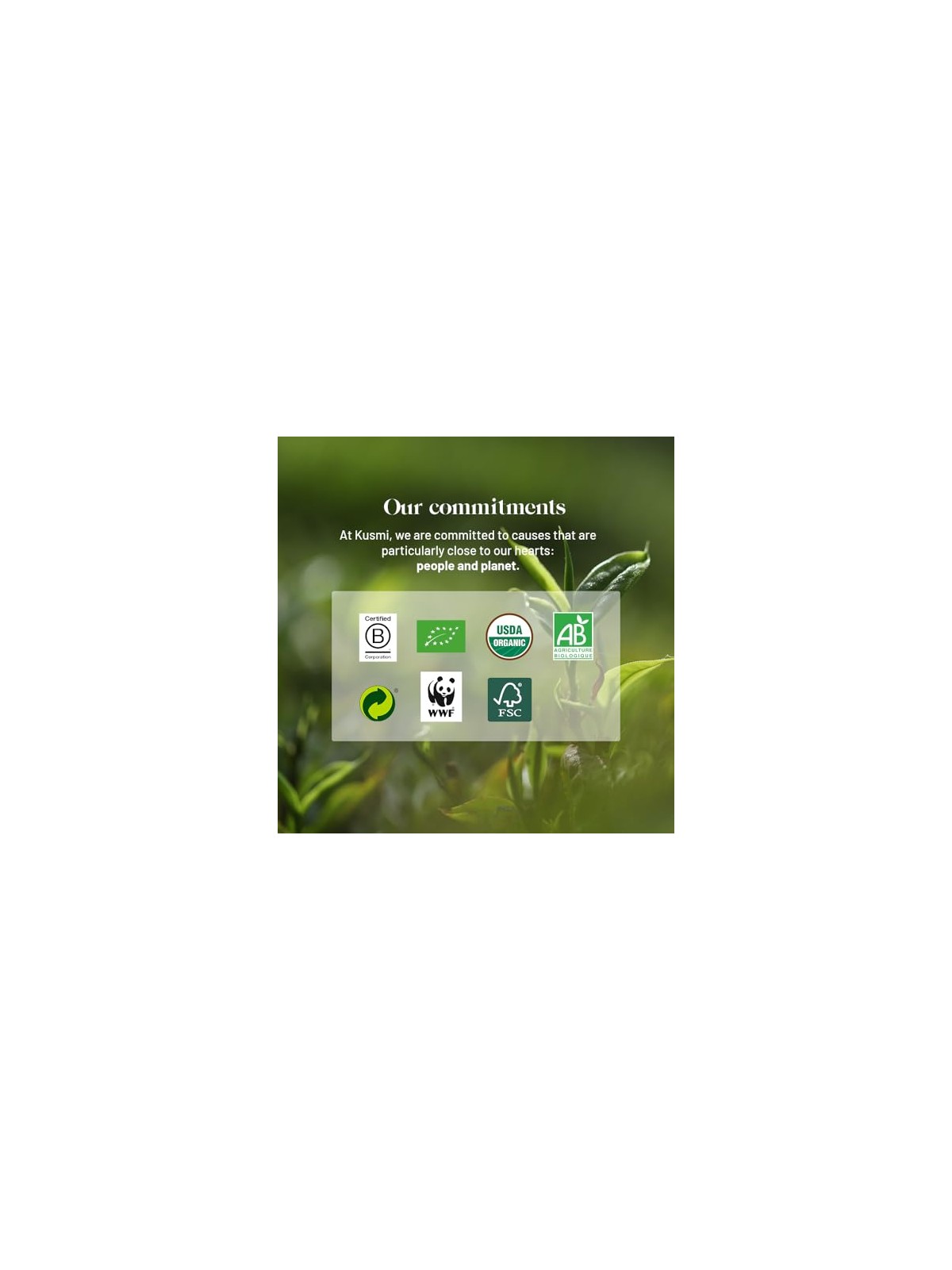 Kusmi Tea Gelsomino Verde 20 sacchetti di mussola BIO 40 g unisex