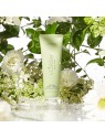 Voesh Crema corpo vegana per corpo e mani al tè verde 88ml
