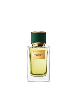 Dolce & Gabbana Velvet Vetiver Eau De Parfum unisex 100ml