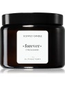 The Olphactory Forever Citrus & Shades candela profumata 360 g