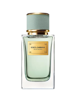 Dolce & Gabbana Velvet Infusion Eau De Parfum unisex 100ml