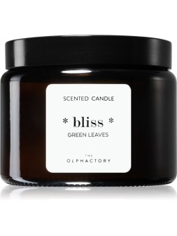 The Olphactory felicità foglie verdi Green Leaves candela profumata 360 g