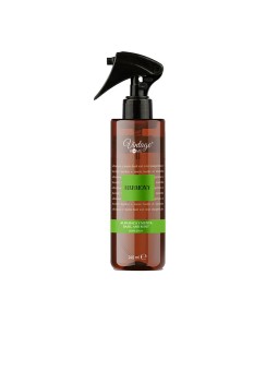 Vintage Home HARMONY deodorante ambiente spray N.Basil E MENTA 245ml Unisex